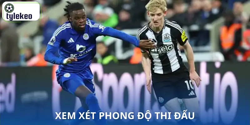 cach-soi-keo-nha-cai-xem-xet-phong-do