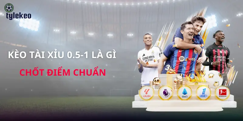 keo-tai-xiu-0-5-1-la-gi