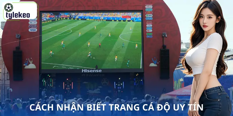 tao-tai-khoan-ca-do-bong-da-nhan-biet